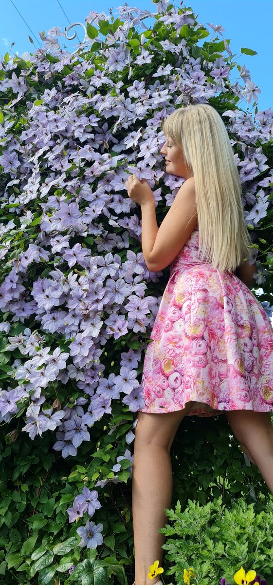 Смотрите на цифры. Какой клематис посадить, чтобы цвёл стеной всё лето ...