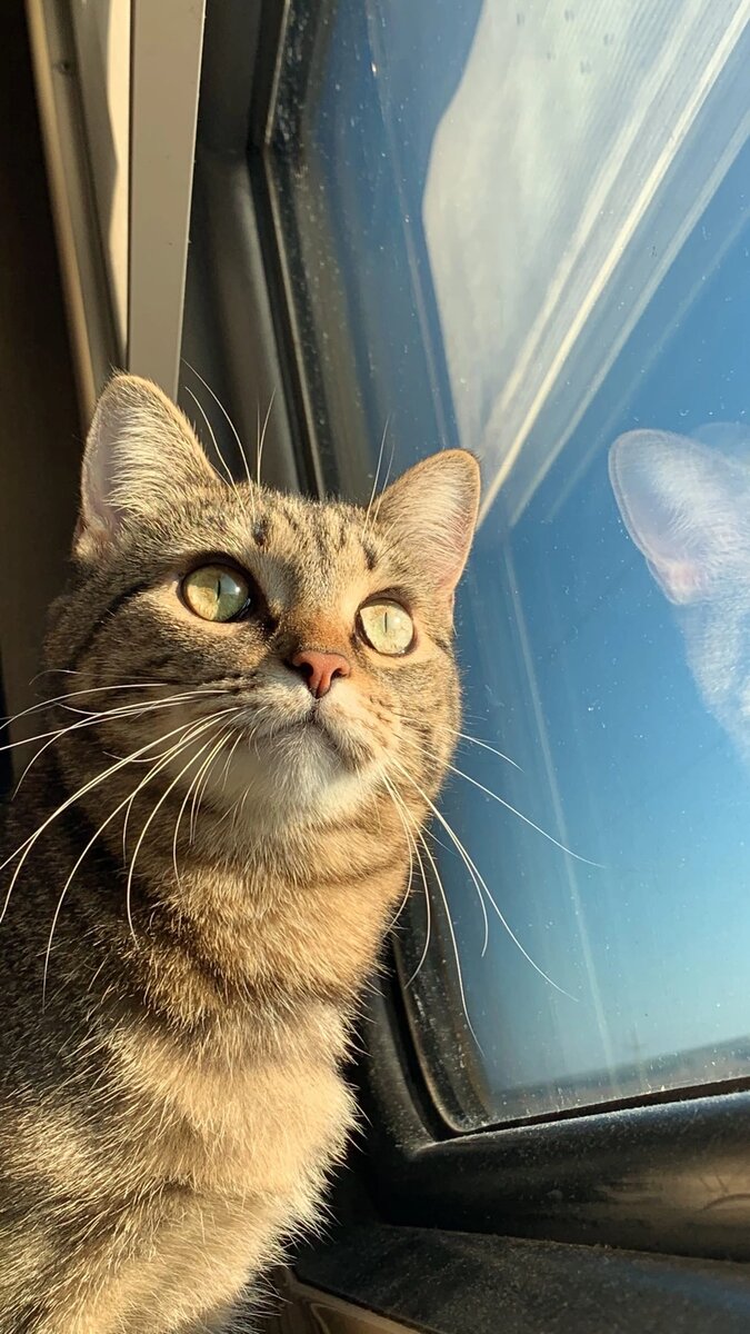 Фото личное 