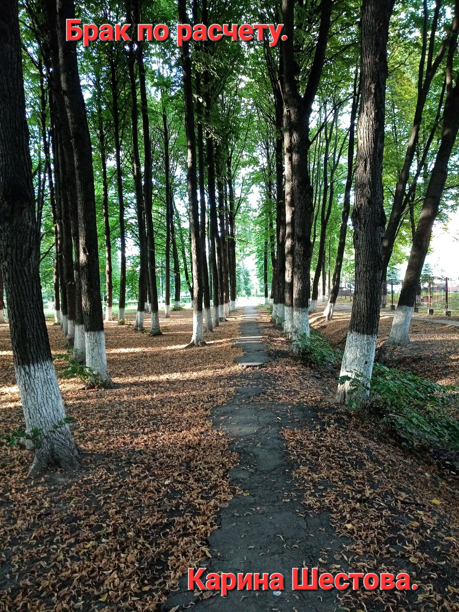 Фото из личного архива автора. 