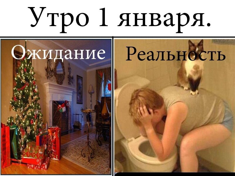 Утро первого января пикабу