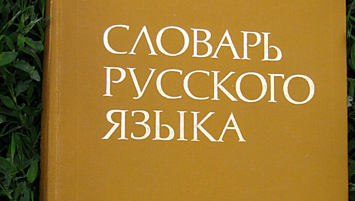     В Ростове 40% жителей поддержали идею о введении ограничений на использование слов-заимствований из других языков, об этом сообщили исследователи портал Superjob.