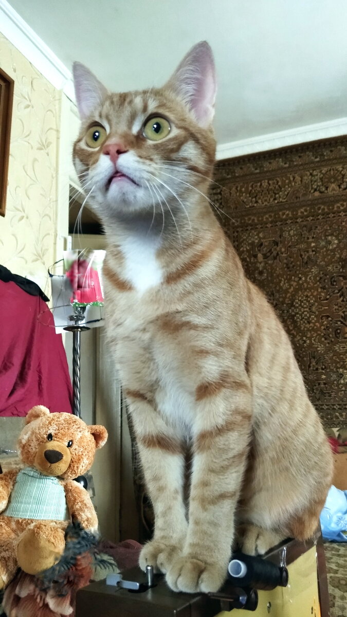 Личное фото.