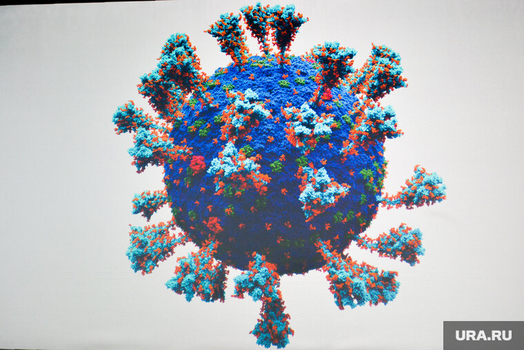    Заболеваемость выросла на 36 процентов