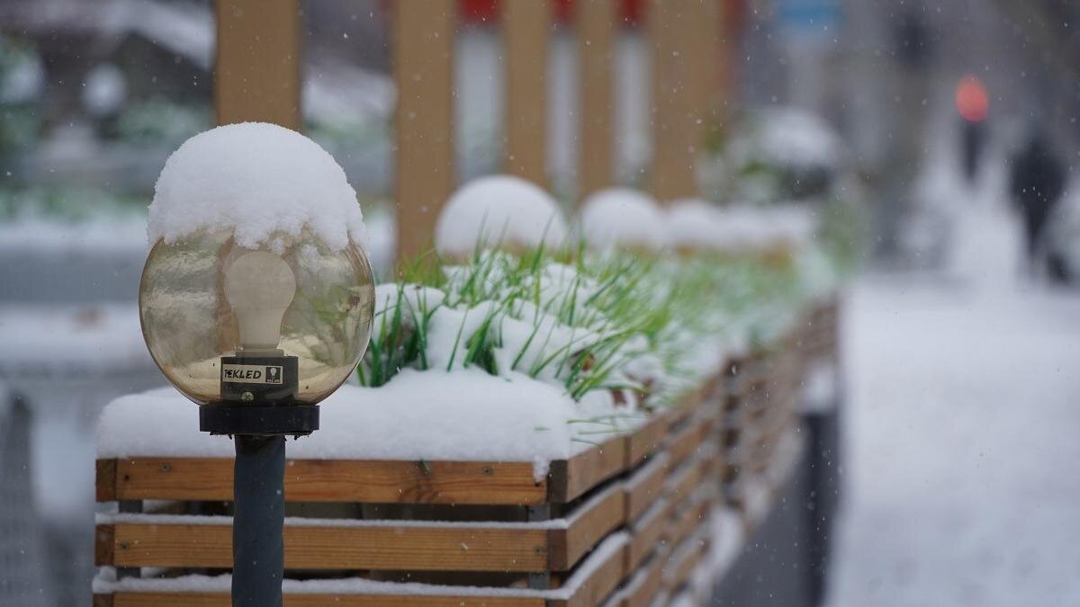    Снег в Алматы:NUR.KZ/ Владимир Третьяков