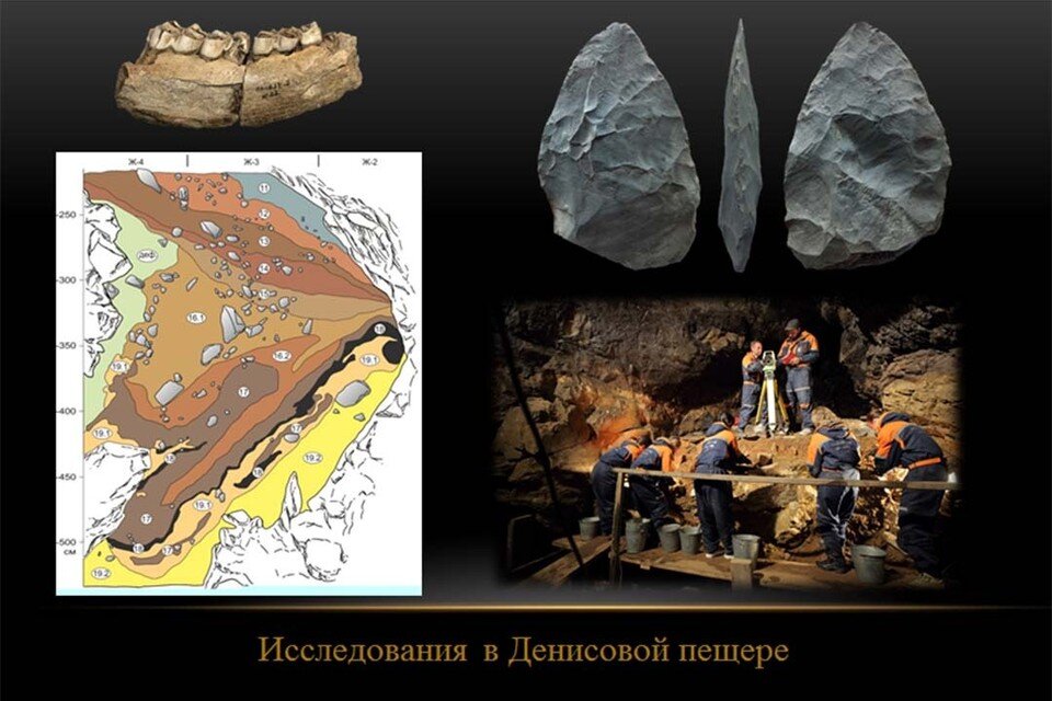     Раскопки в Денисовой пещере. Фото из презентации Михаила Шунькова