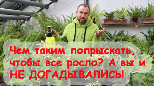 Ольшаны. Агрогородок на юге Брестской области, который называют огромной овощной теплицей