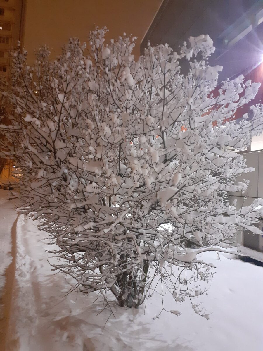 Рассказ