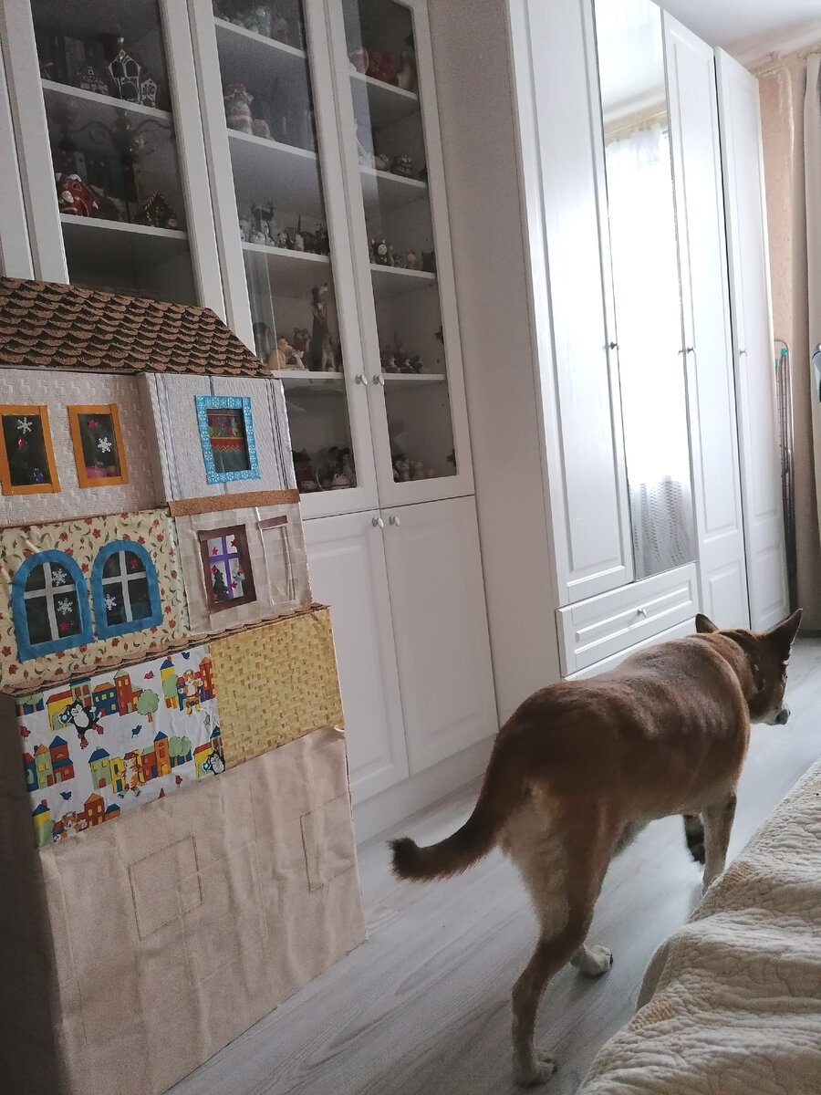 Чтобы вы не заскучали: это наша собака, вид с тыла. 