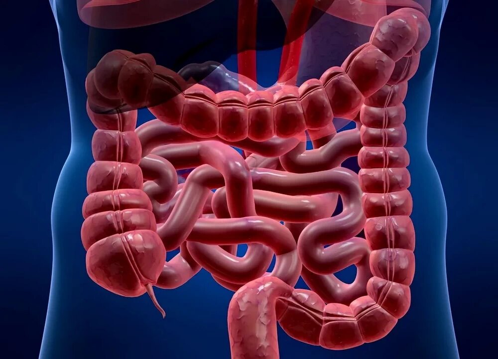 Источник: яндекс-картинки