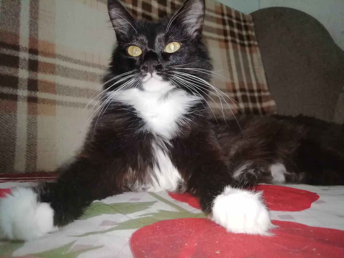 Фото из домашнего архива 