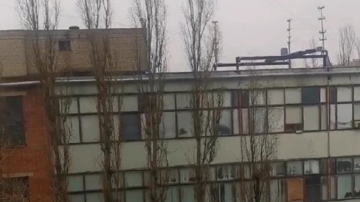 Фото: стоп-кадр из видео