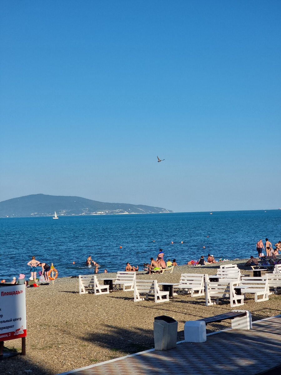 Переезд на Юг 🌊 Из Казани в Новороссийск на пмж, часть 1 | Я живу на  море🌊 | Дзен