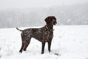    Фото: kartinkin.net Дмитрий Заборин