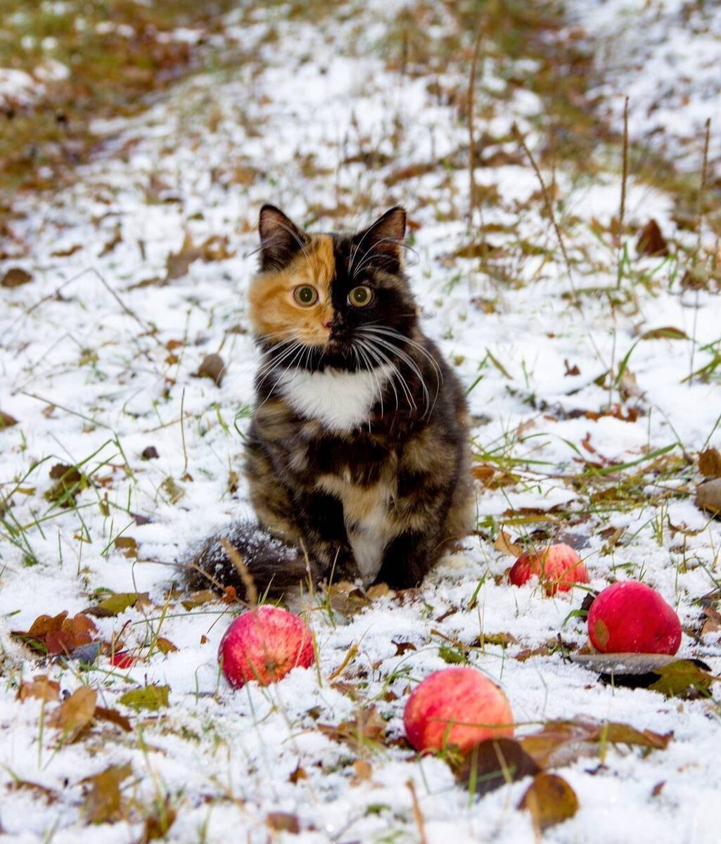 Источник: Яндекс картинки