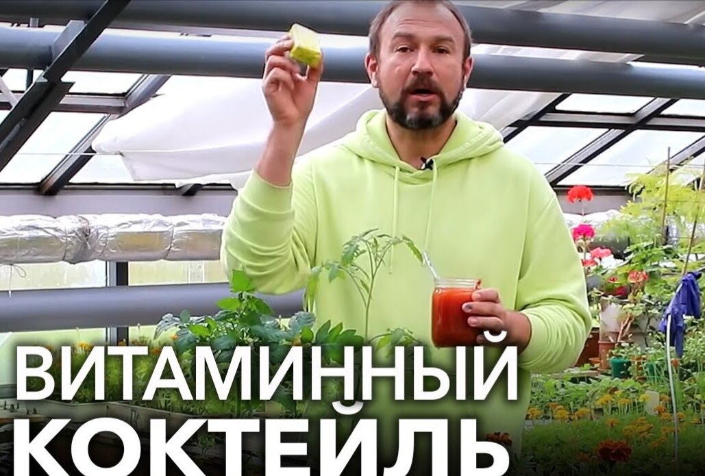 Витаминный коктейль на основе томатной пасты - комплексное решение для укрепления и восстановления ваших растений.