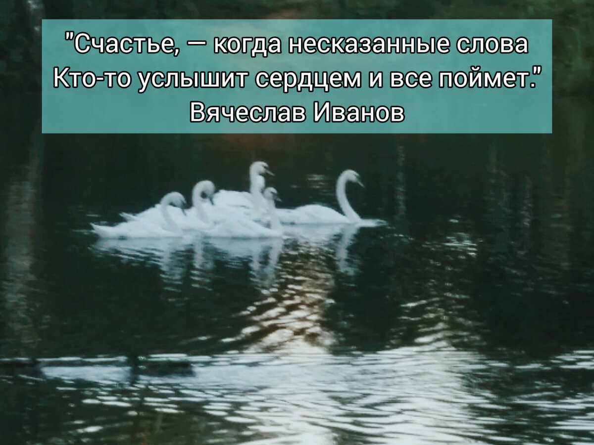 Фото из личного архива подписчиков