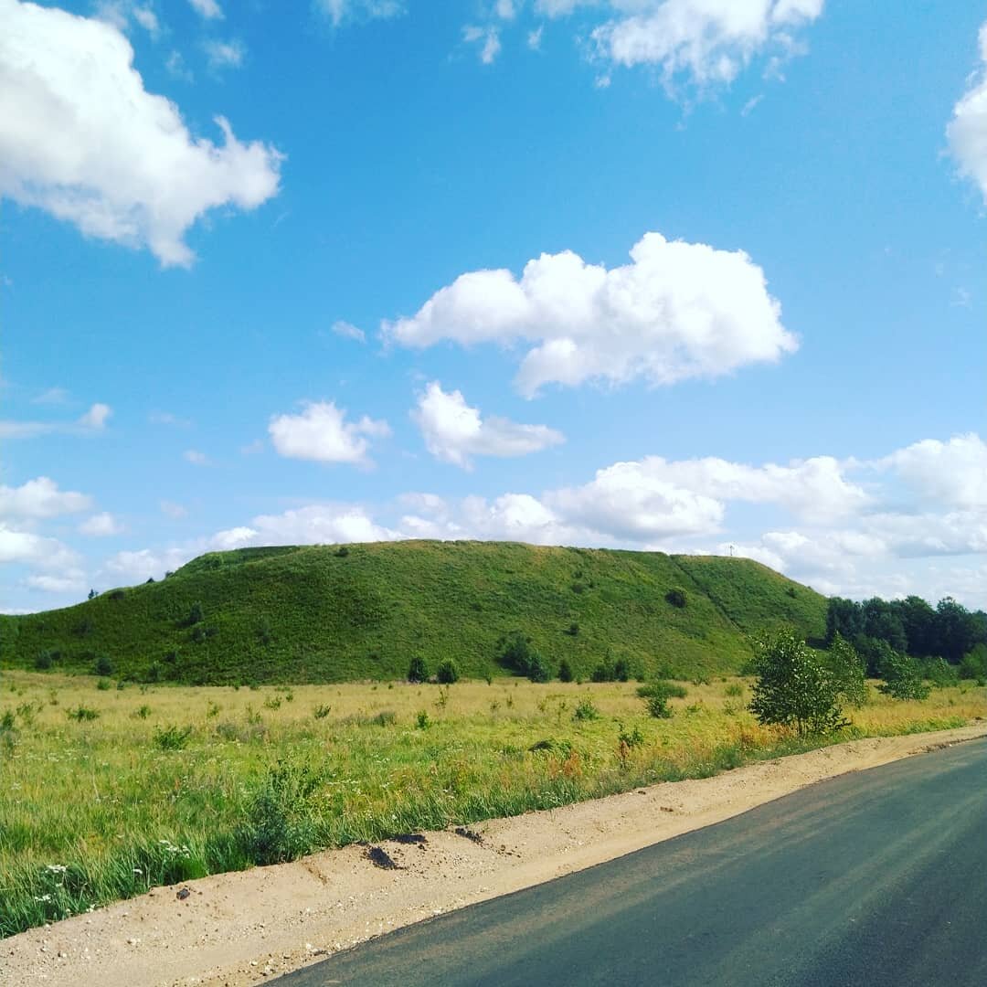 Специально кусочек асфальта в кадр попал, чтобы ни у кого сомнений не возникло, что снимал с дороги