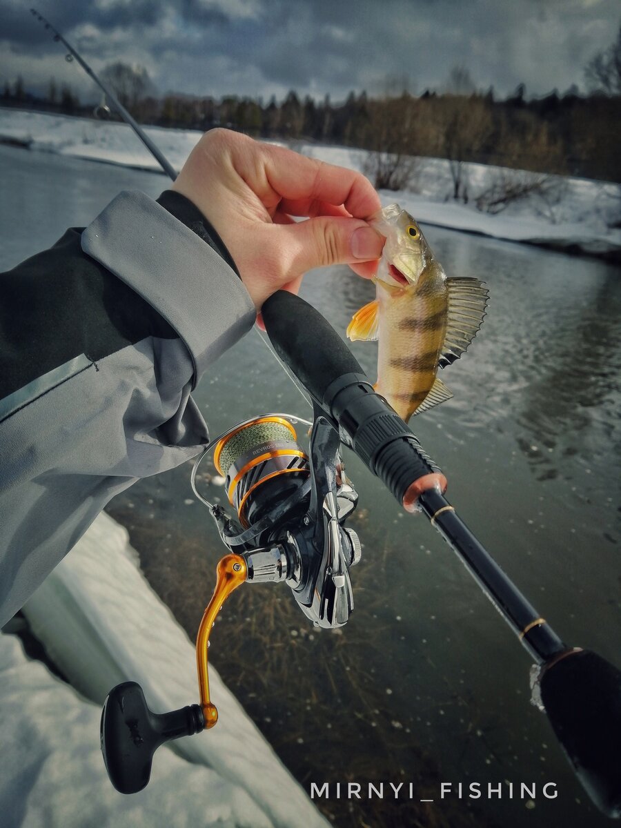 Ловли ю. Браун Перч. Brown Perch. Broun Perch. Опыт в ловли.