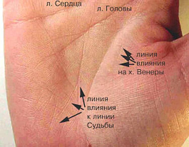 Где эти 3 линии. Линия судьбы на руке. Линия жизни на ладони. Линия жизни на руке. Линия влияния на руке.