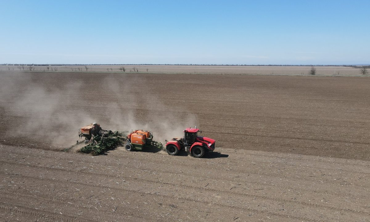 Будут мыши - можно не пахать: урожая не дождётесь