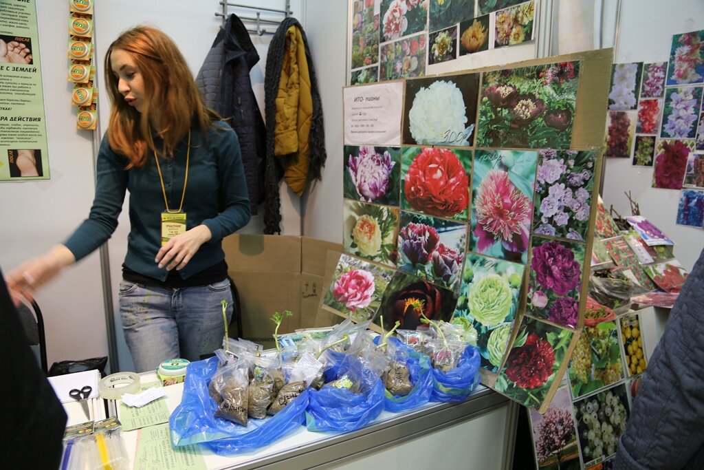 Один из типичных киосков на весенних выставках на ВДНХ и в Сокольниках