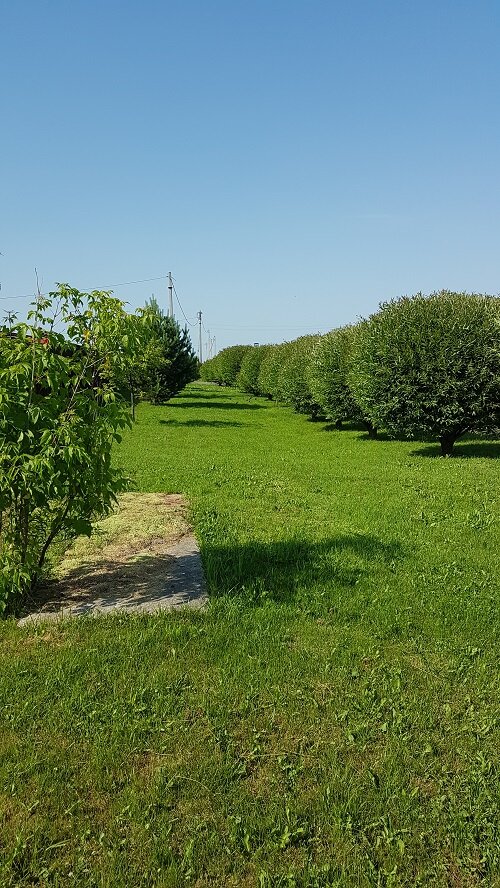 Как сельчане умеют облагородить свою улицу