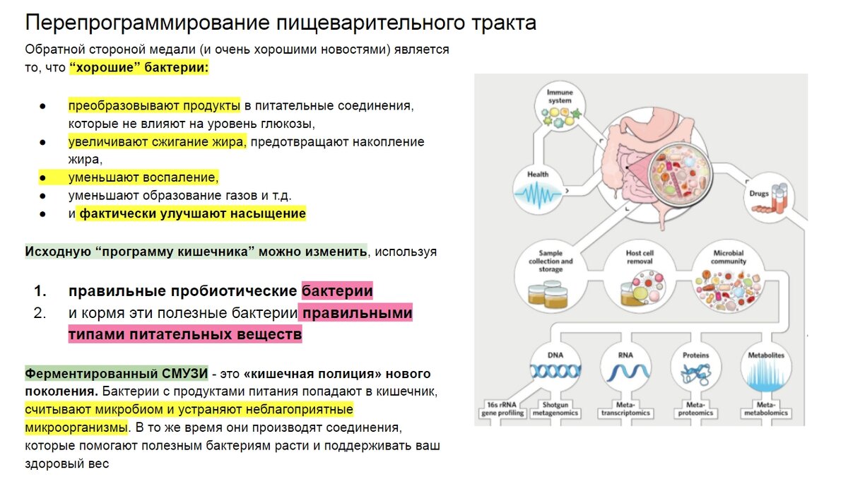 Перепрограммирование происходит за счет ферментированных продуктов