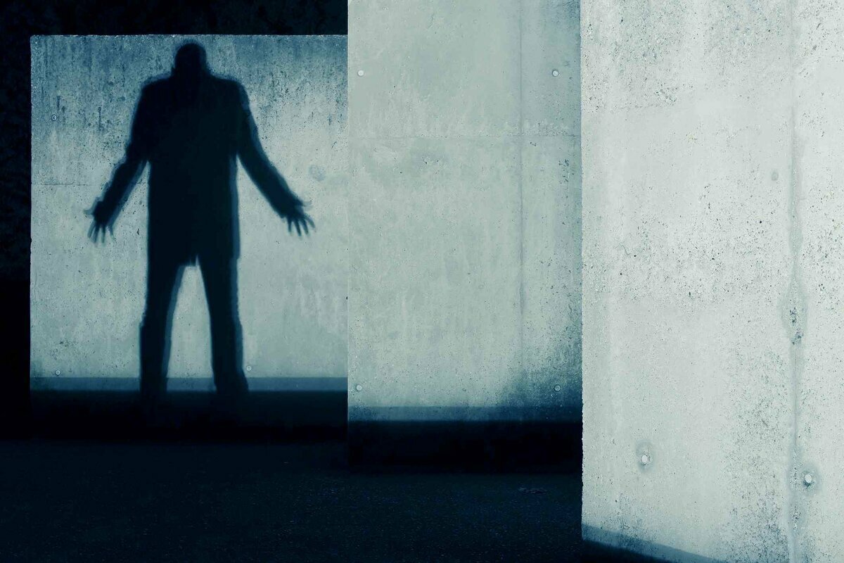 Фото из открытых источников.