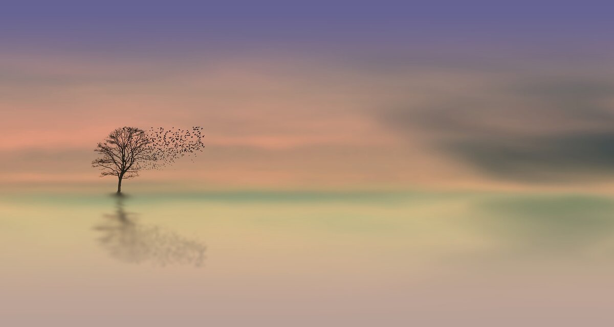 изображение с сайта pixabay.com