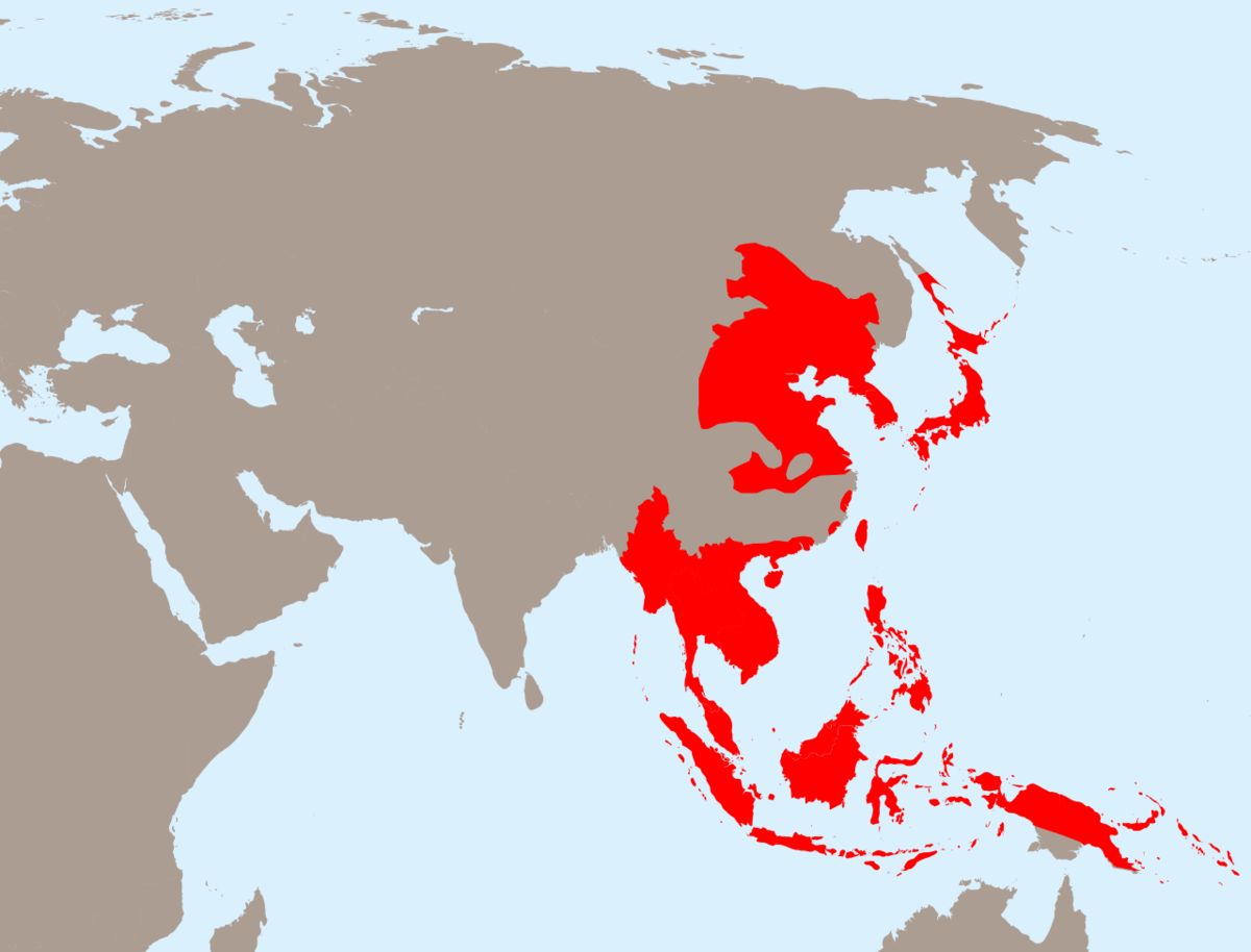 Японская Империя 1942. Японская Империя во второй мировой войне карта. Территория японской империи в 1942 году. Японская Империя до второй мировой. Экспансия японии