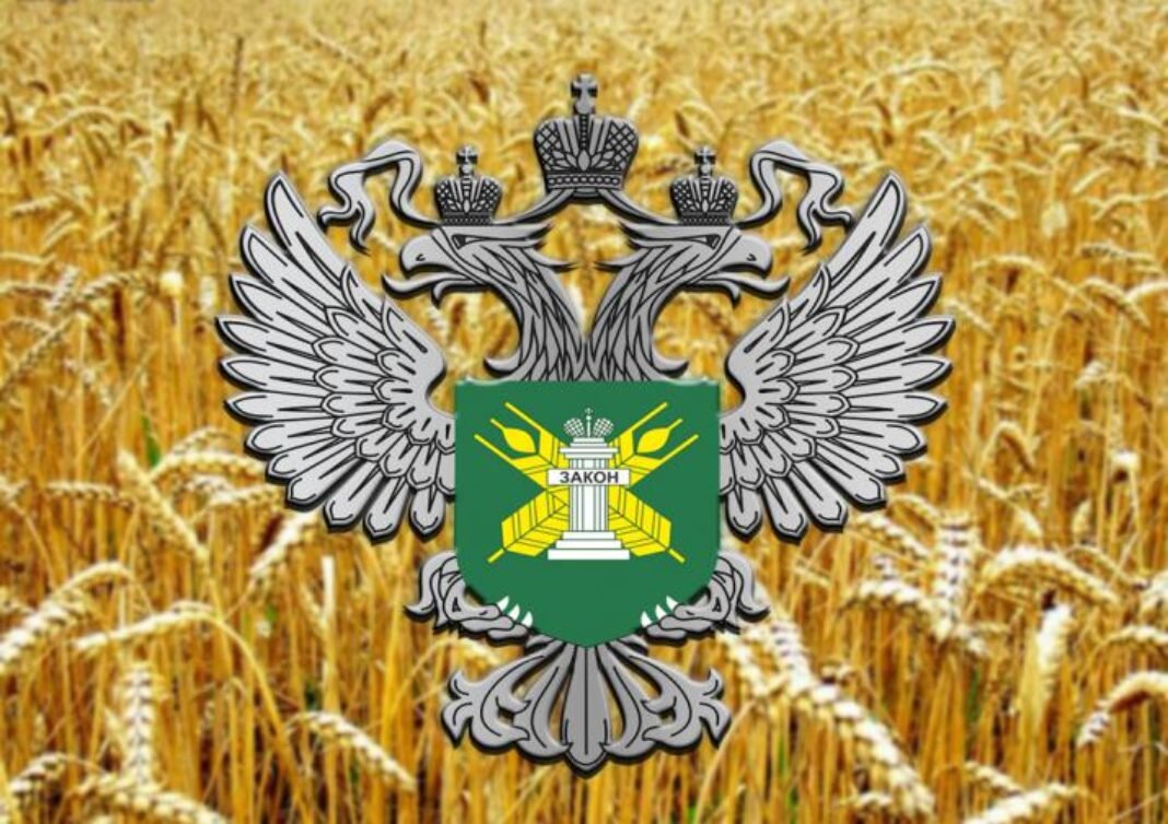 Фото с Яндекс картинки