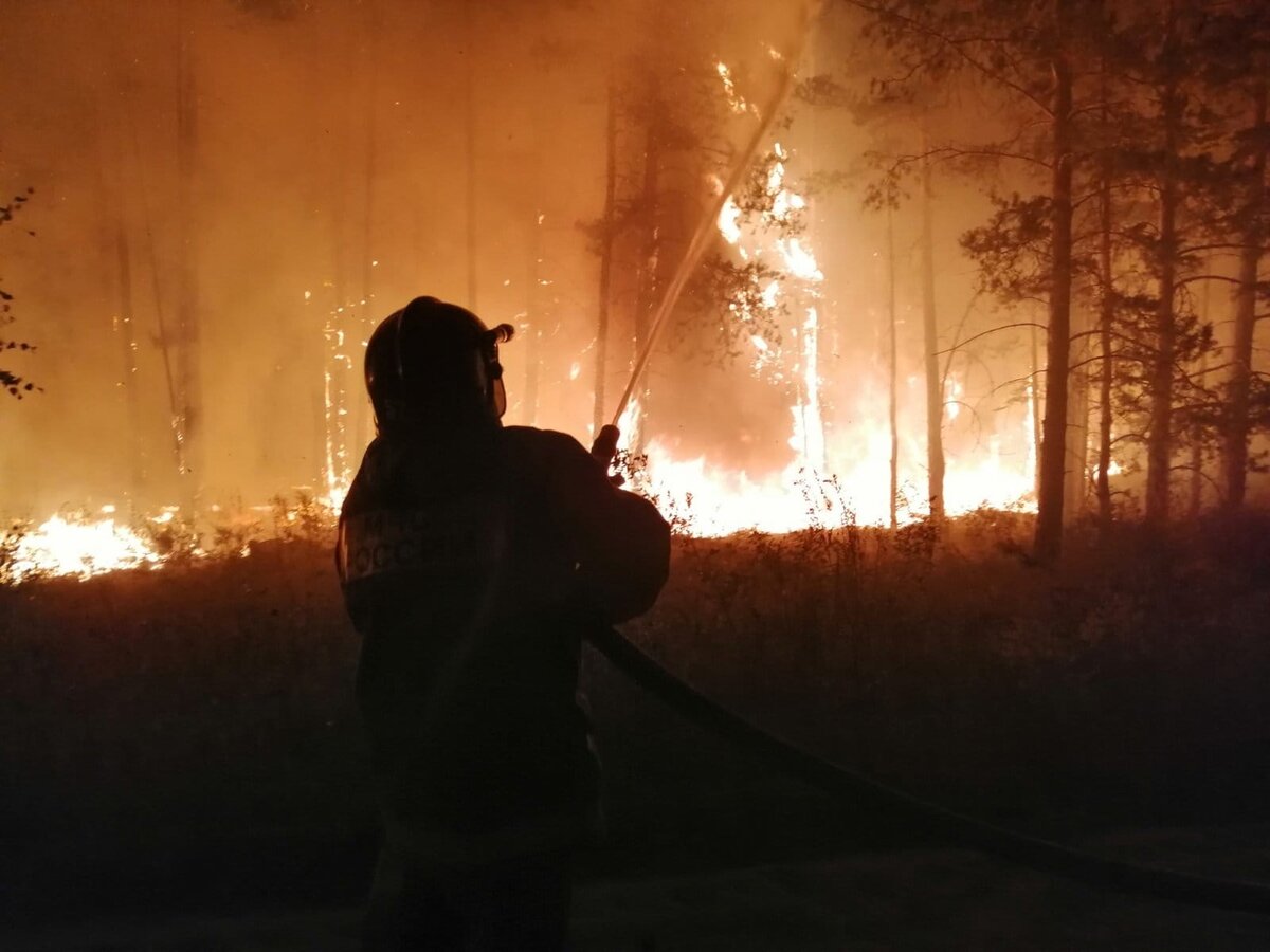 Фото из открытых интнрнет-источников