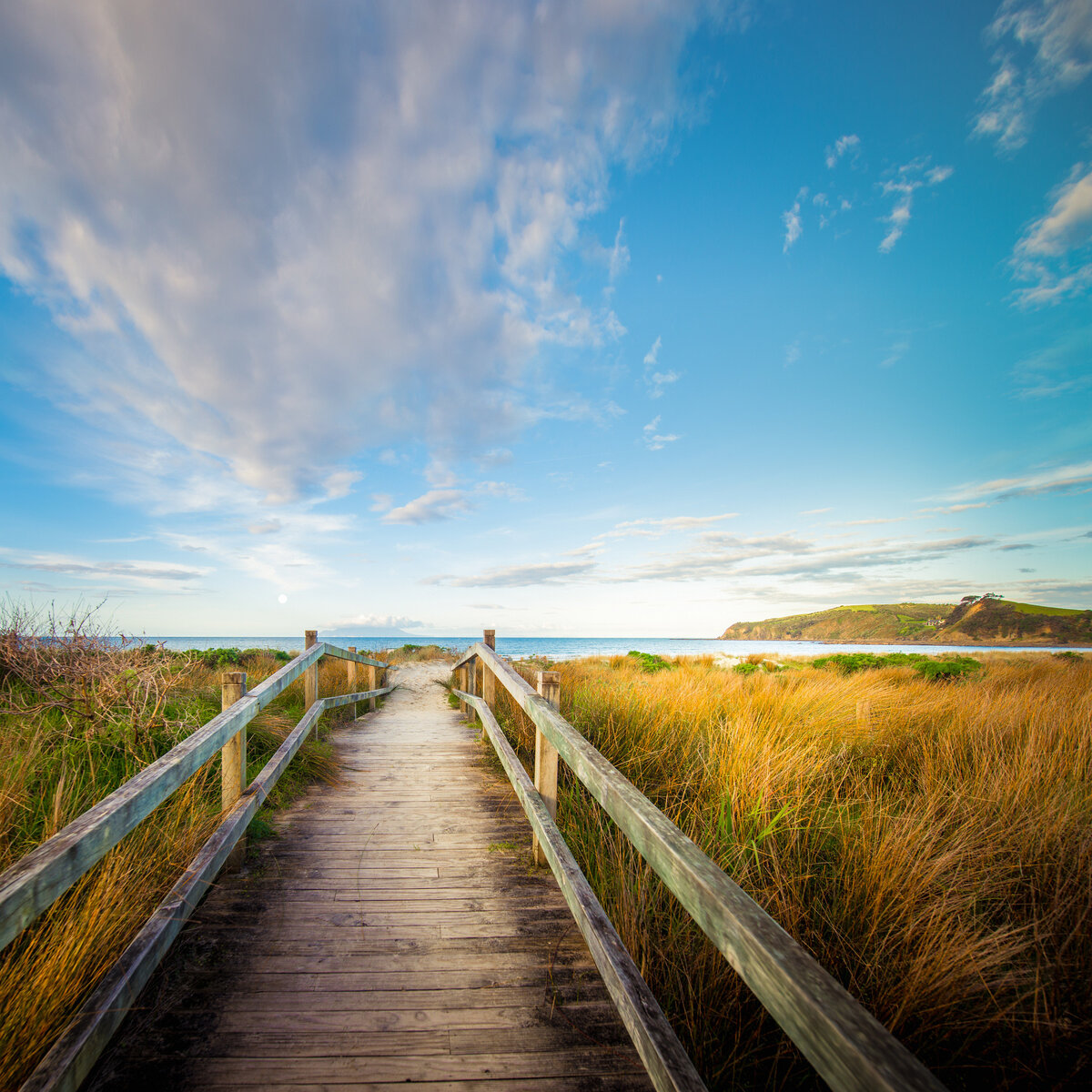 Фото с сайта https://www.flickr.com/