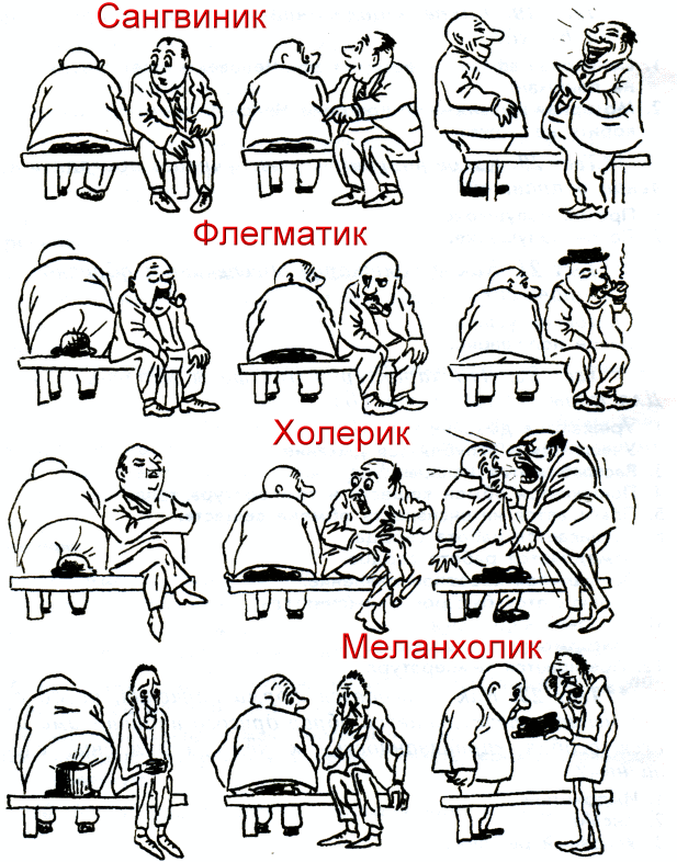 Холерик сангвиник флегматик картинка