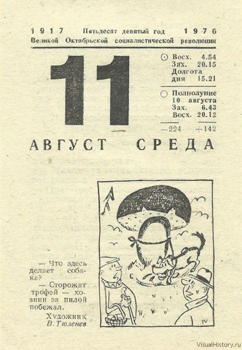 Календарь 11. 11 Августа календарь. 10 Августа лист календаря. Лист календаря 11 августа 2013 года. 11 Августа календарь истории.