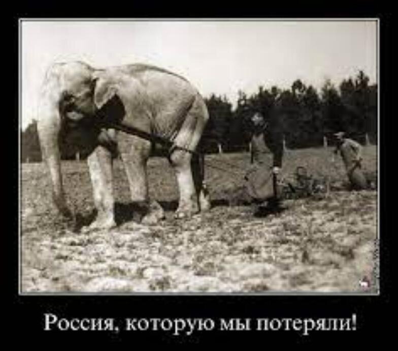 Фото из открытых источников.