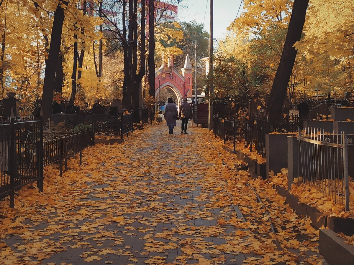 Введенское (Немецкое) кладбище. Фото автора.