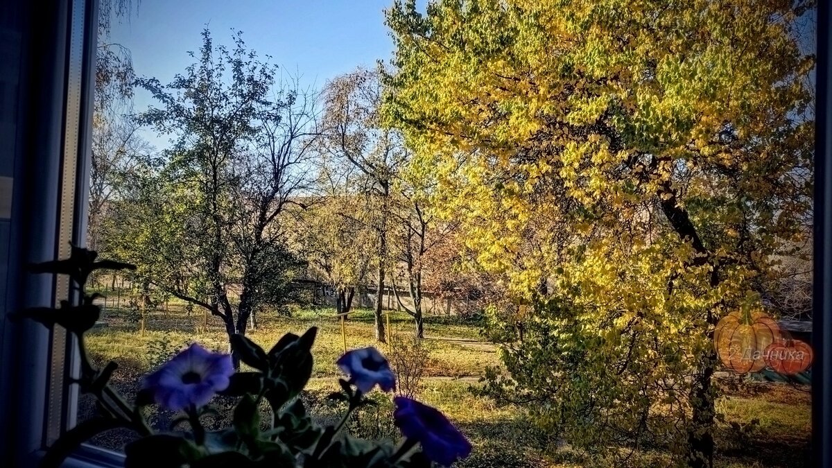 Открыла глаза. За окном чудный, солнечный день.