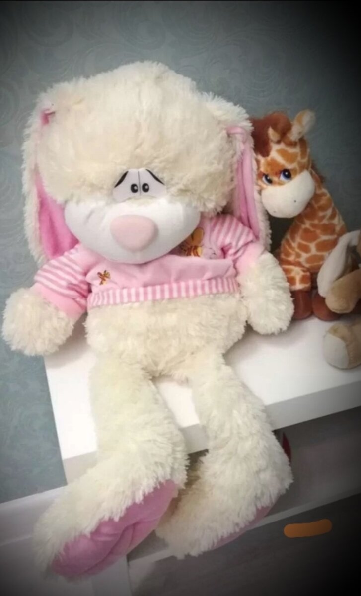 Зайчик сидел на полке и грустил