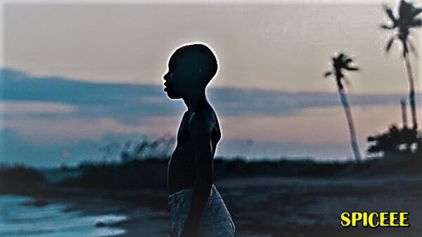 "Лунный свет"