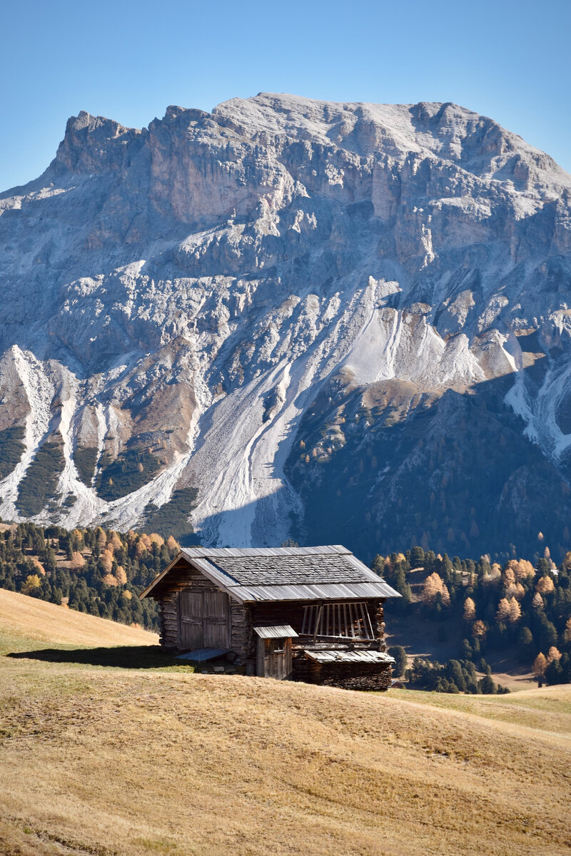 Photo by Arno Senoner on Unsplash
