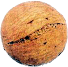 В Древнем Египте игра с мячом была известна наиболее давно.