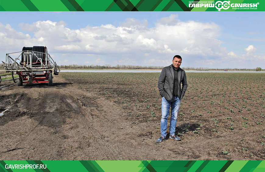 Агроном Николай Чуприна