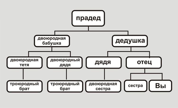 Семейное древо семьи: 4 вида, как составить родовое дерево красиво и правильно