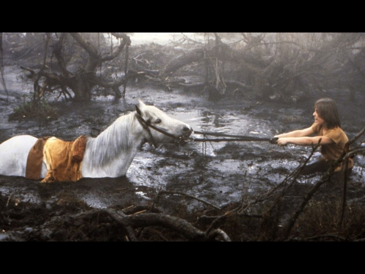 Потерять лучшего друга, но не свернуть с пути!