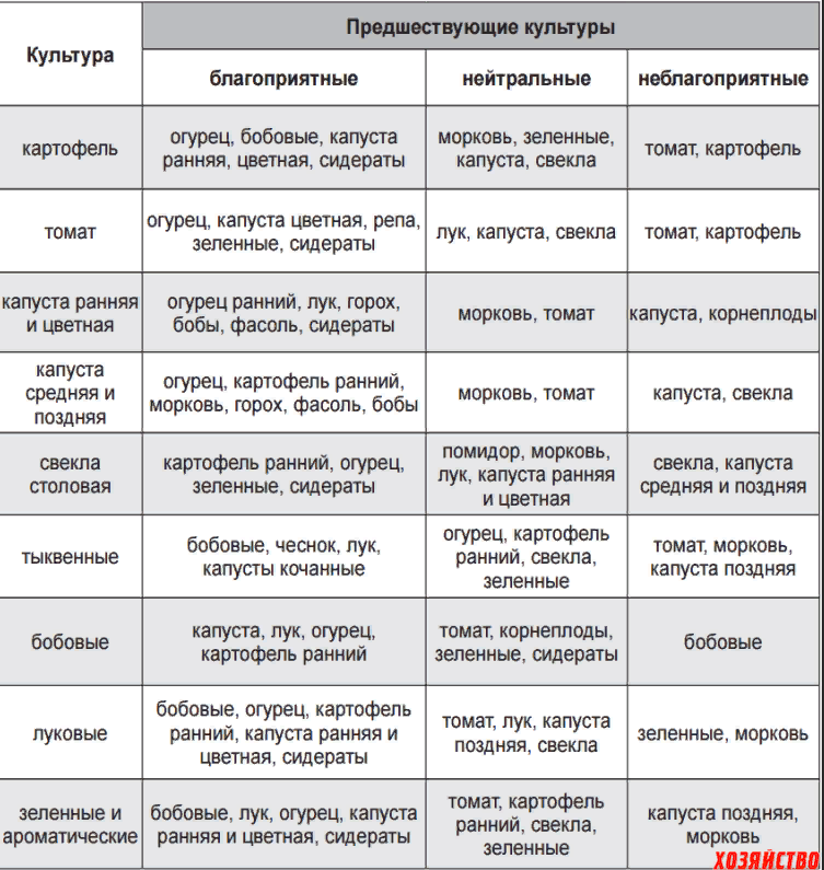 Севооборот на огороде что после чего. Посадка овощей предшественники таблица. лучшие предшественники для посадки овощей таблица. севооборот овощей в огороде таблица. таблица севооборота предшественники и последователи.