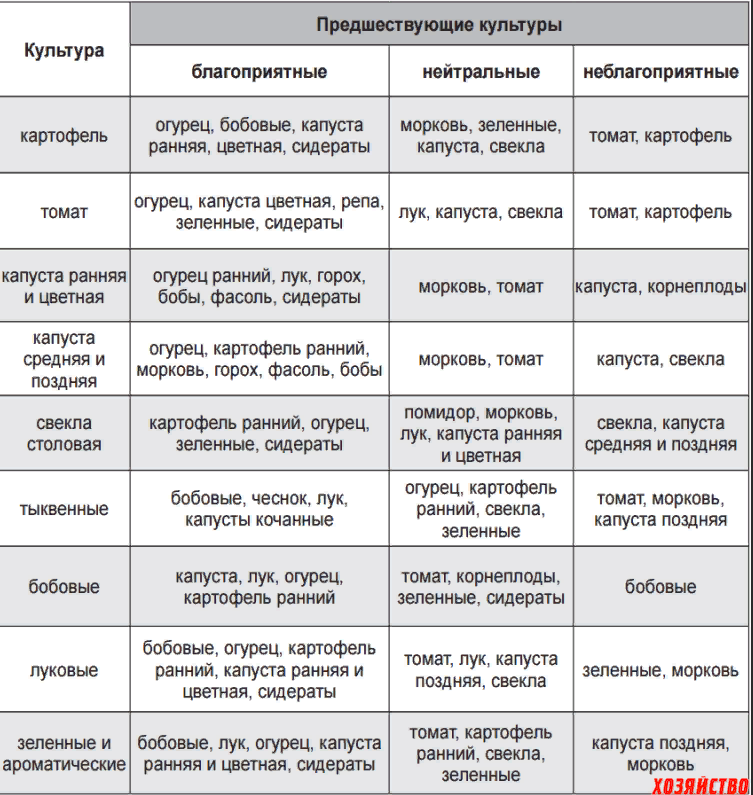 Севооборот в огороде схема