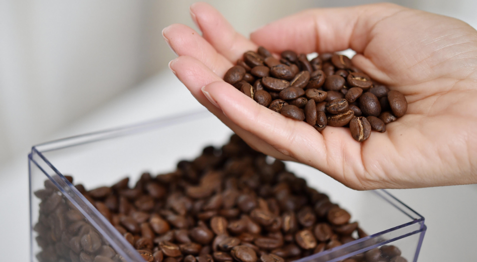 Фотография взята из источника hlebosoul.ru 