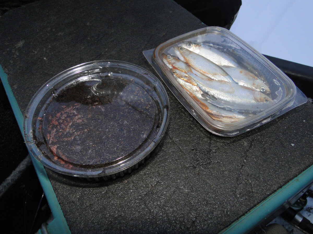 В последнее время, пожалуй, в Вологодской области две самые популярные наживки...