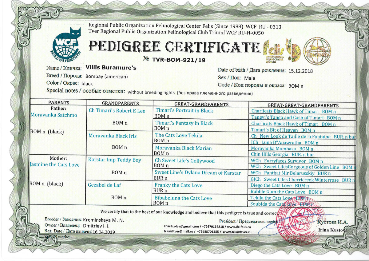 фото из моего личного архива